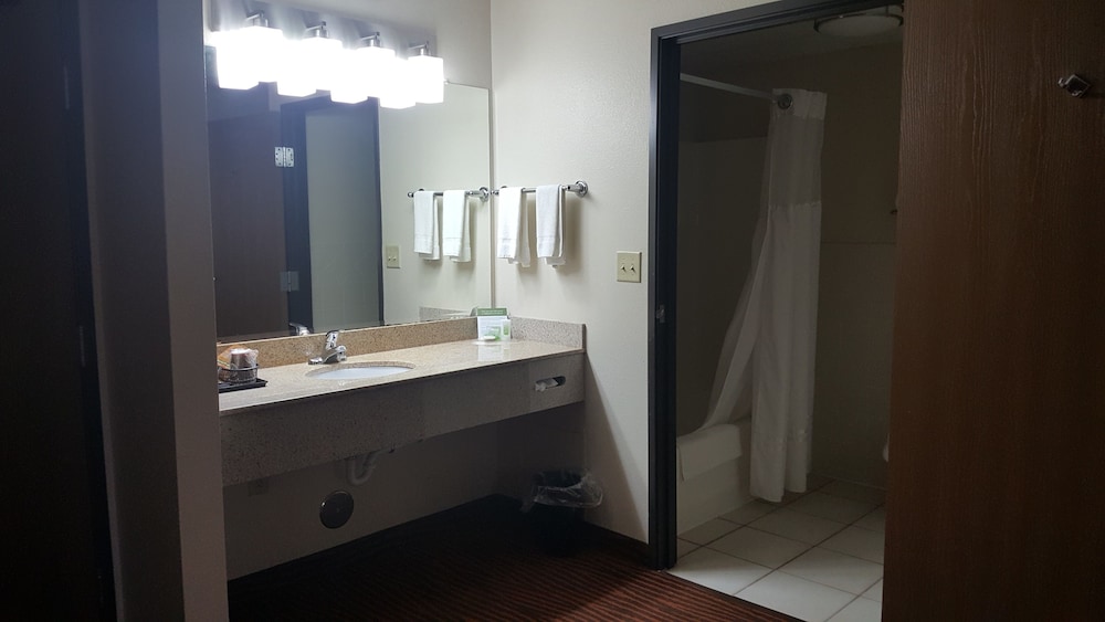 Room, 1 King Bed, Non Smoking (Full Kitchenette) - Photo 7