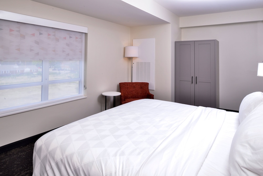 Holiday Inn & Suites Farmington Hills - Detroit NW by IHG, Foto 2