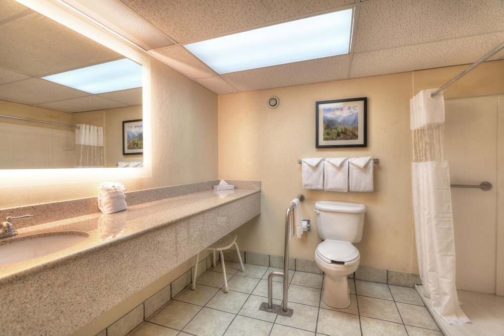Edgewater Hotel - Gatlinburg, Billede 2