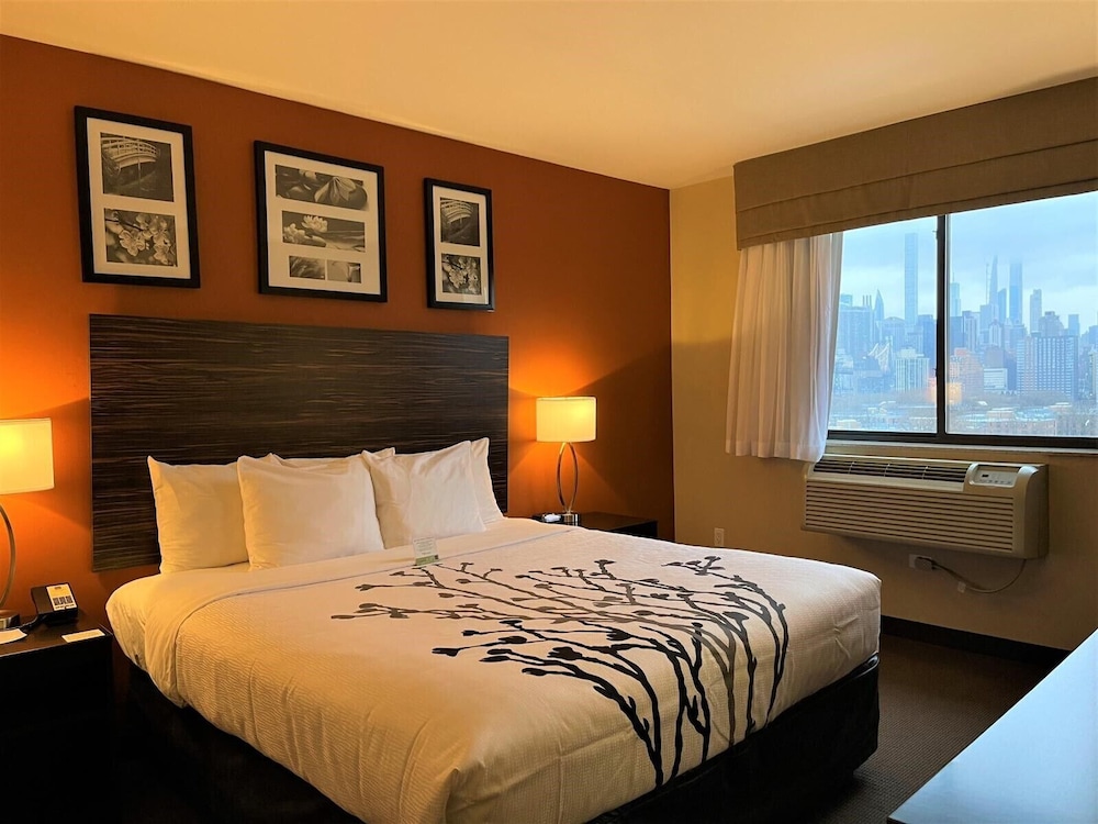Standard Room, 1 King Bed, Non Smoking photo 1