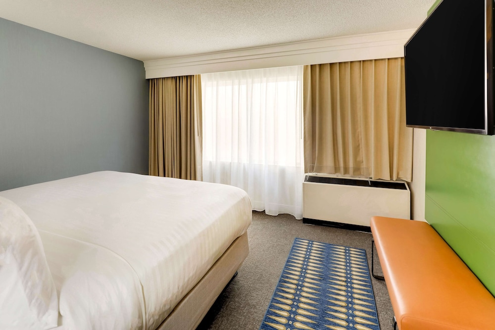 Suite, 1 King Bed with Sofa bed, Accessible - Photo 13