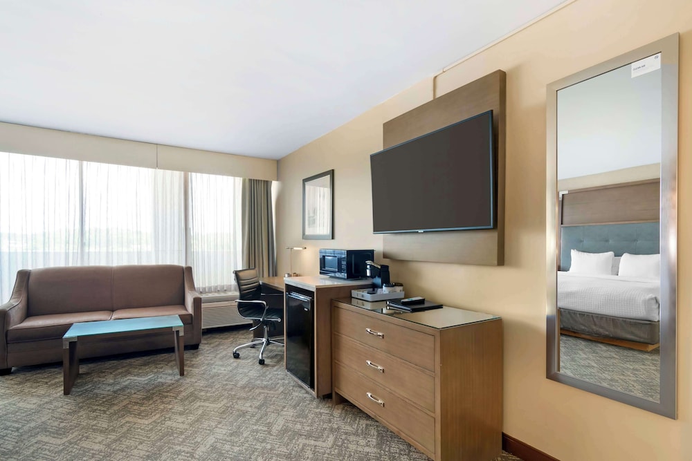 Standard Room, 1 King Bed, Non Smoking, Refrigerator (with Sofabed) photo 1