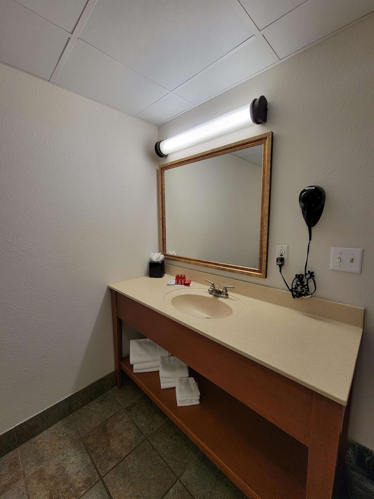 Standard Room, Multiple Beds, Non Smoking, Refrigerator & Microwave - Photo 6