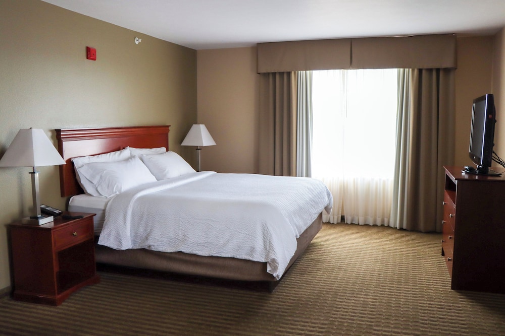 Suite, 1 King Bed - Photo 2