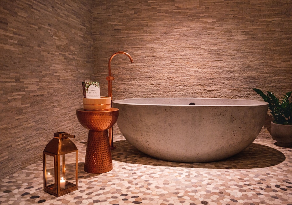 Deluxe Suite (Earth) - Photo 3