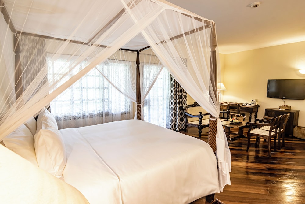Junior Suite photo 1