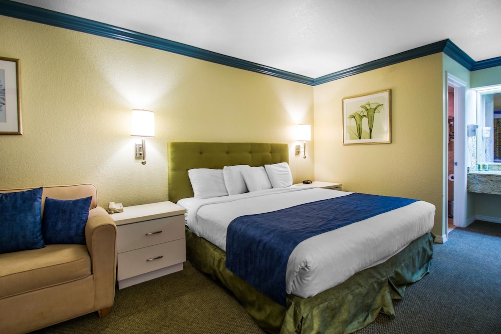 Single Room, 1 King Bed with Sofa bed, Non Smoking photo 2