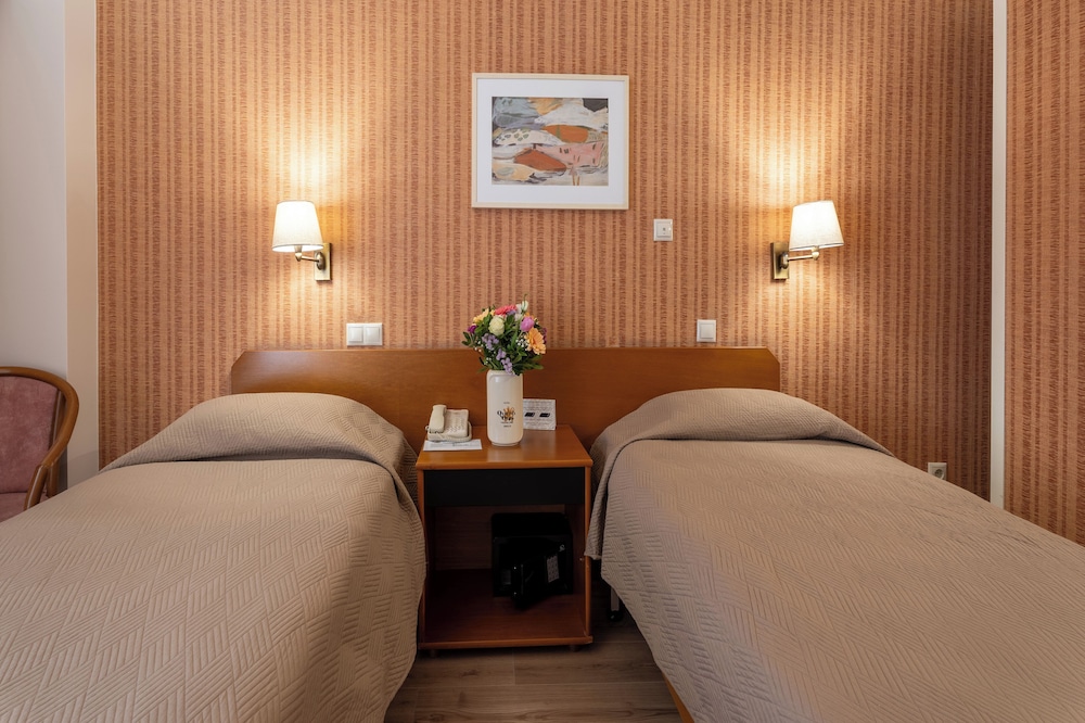 Superior Double or Twin Room - Photo 2