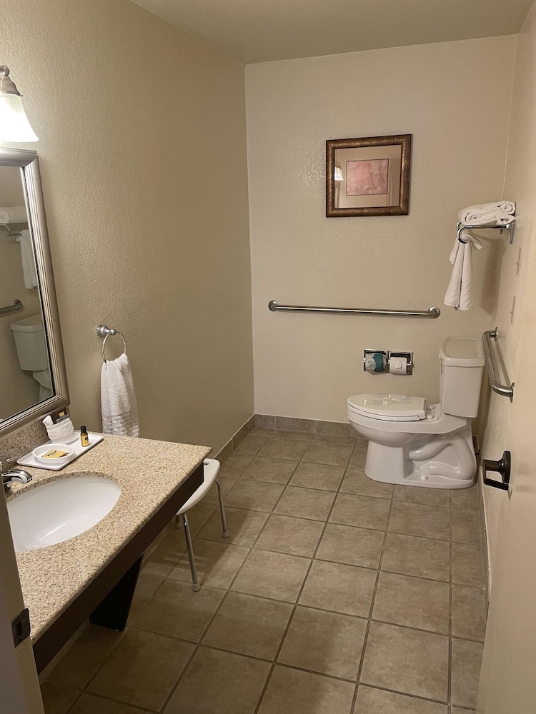 Standard Room, 1 King Bed, Accessible, Non Smoking - Photo 6