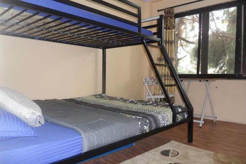 Economy Room, Multiple Beds photo 1