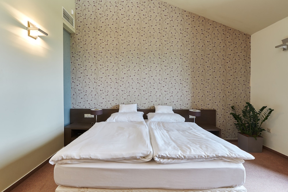 Superior Double Or Twin Room, Partial Lake View, Ground Floor photo 3