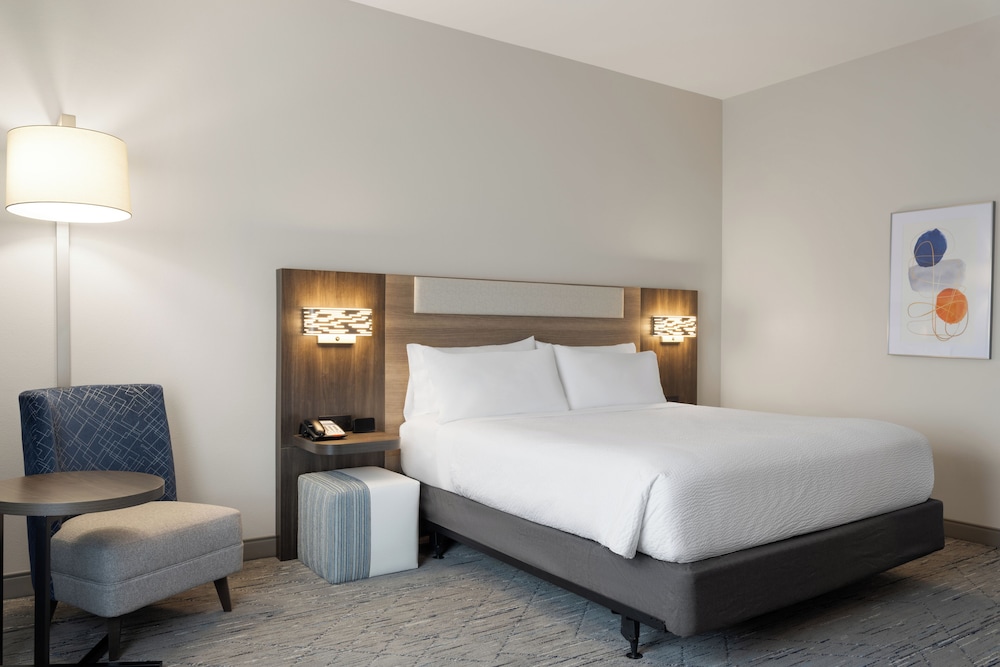 Standard Room, 1 King Bed, Accessible Bathtub (Accessible Tub) - Photo 1
