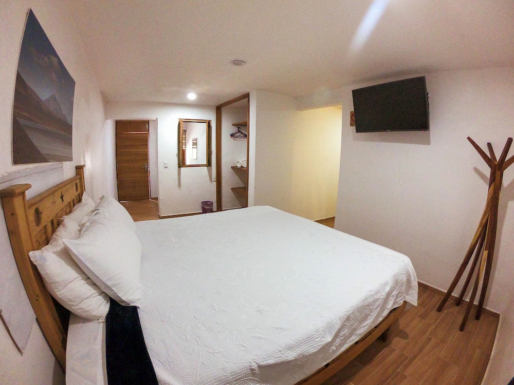 Elite Studio Suite, 1 Queen Bed photo 2