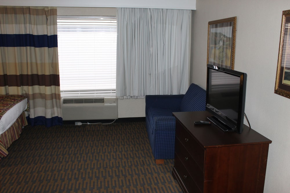 2 Full Beds 1 Sleeper photo 3