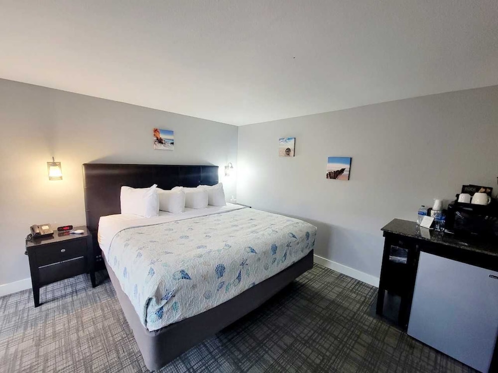 Room, 1 King Bed photo 1