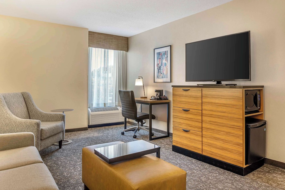 Suite, 1 King Bed with Sofa bed, Accessible, Refrigerator & Microwave (2 Rooms, Tub) - Photo 6