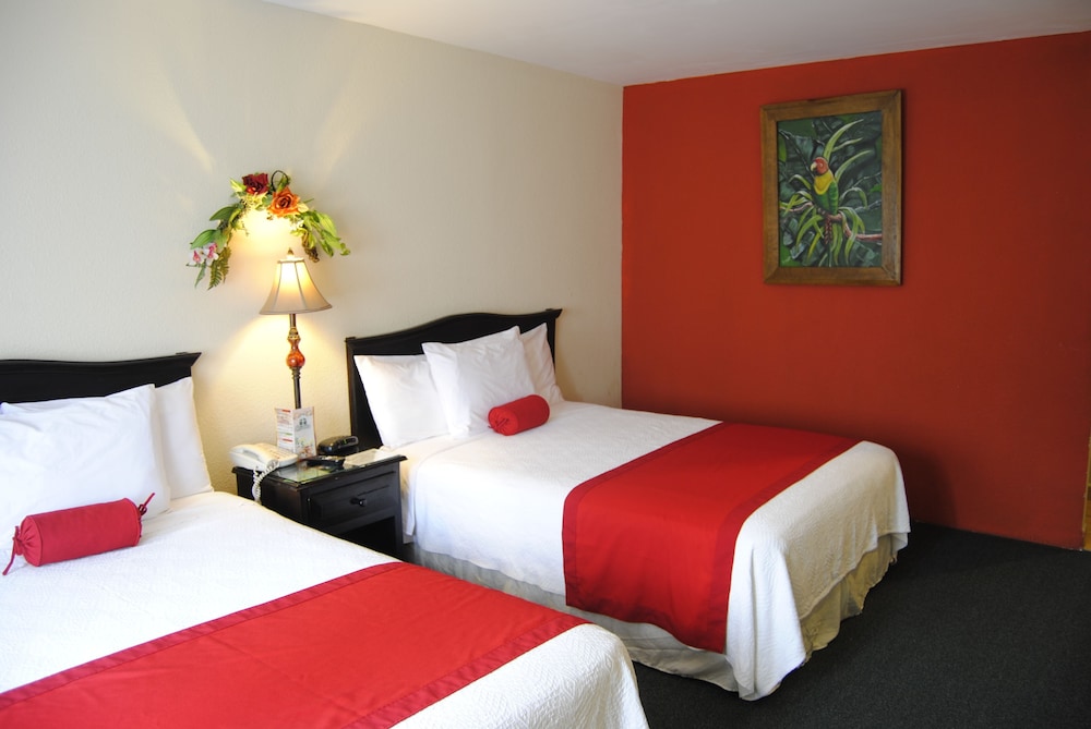 Standard Room, 2 Double Beds photo 1