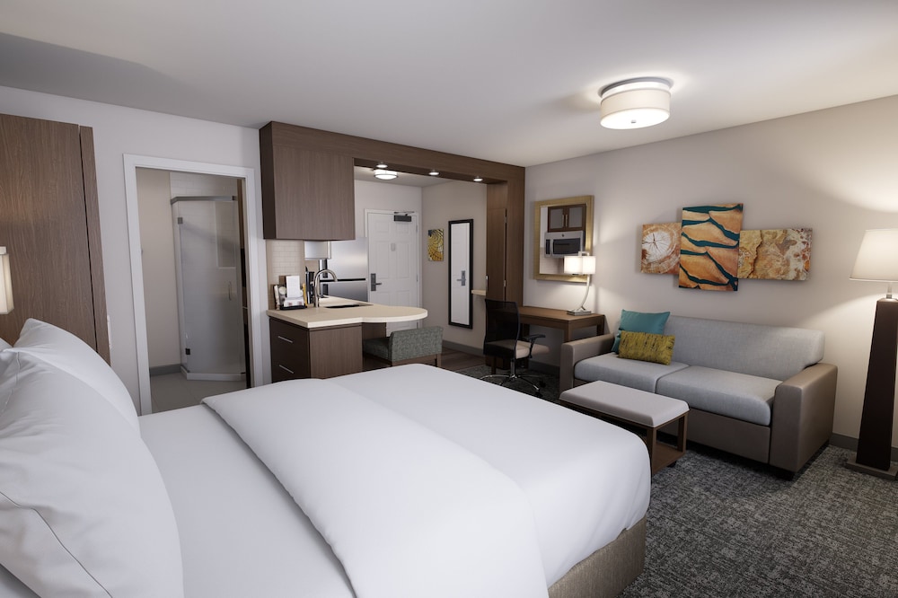 Studio Suite, 1 King Bed, Accessible, Kitchen (Mobility, Accessible Tub) - Photo 1
