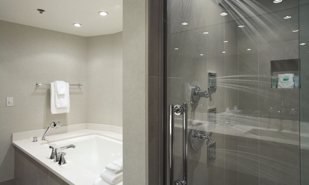 Suite, 1 King Bed (Woodlake) photo 1