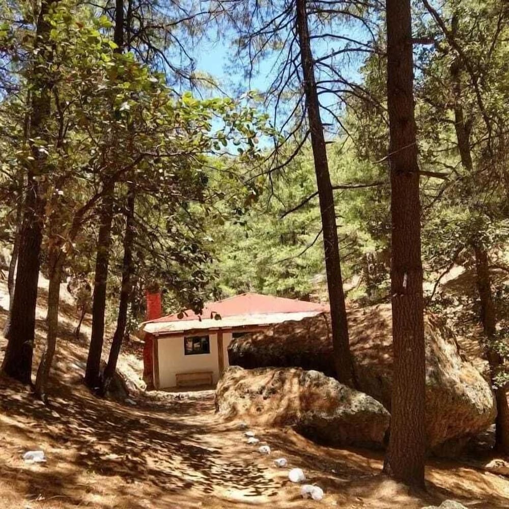 Honeymoon Cabin photo 2