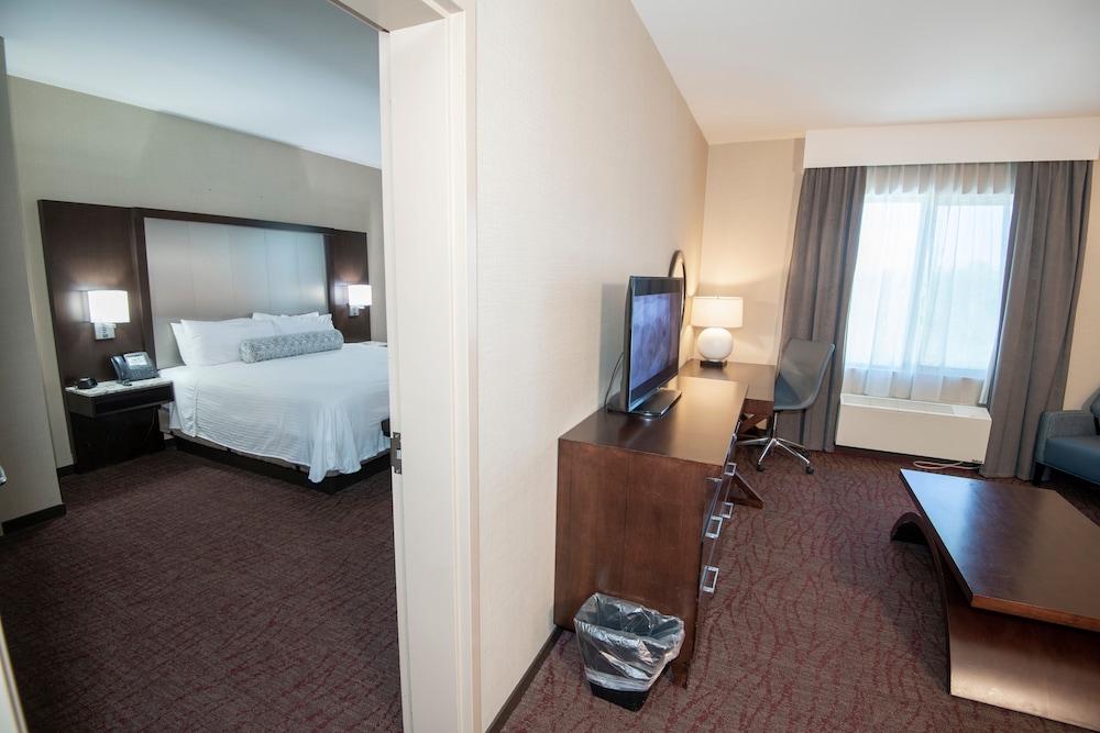 Double Bay Suite photo 1