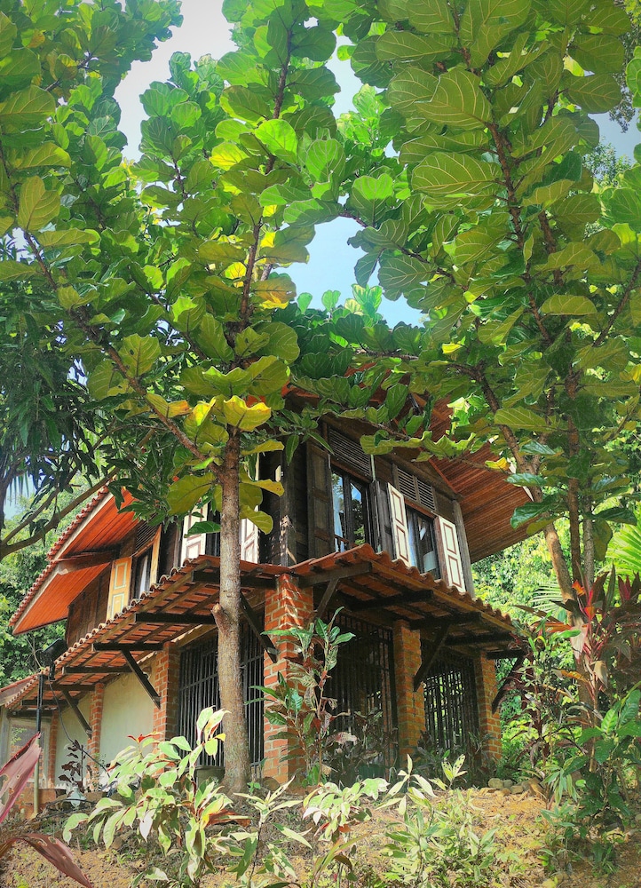 Classic House - Photo 6
