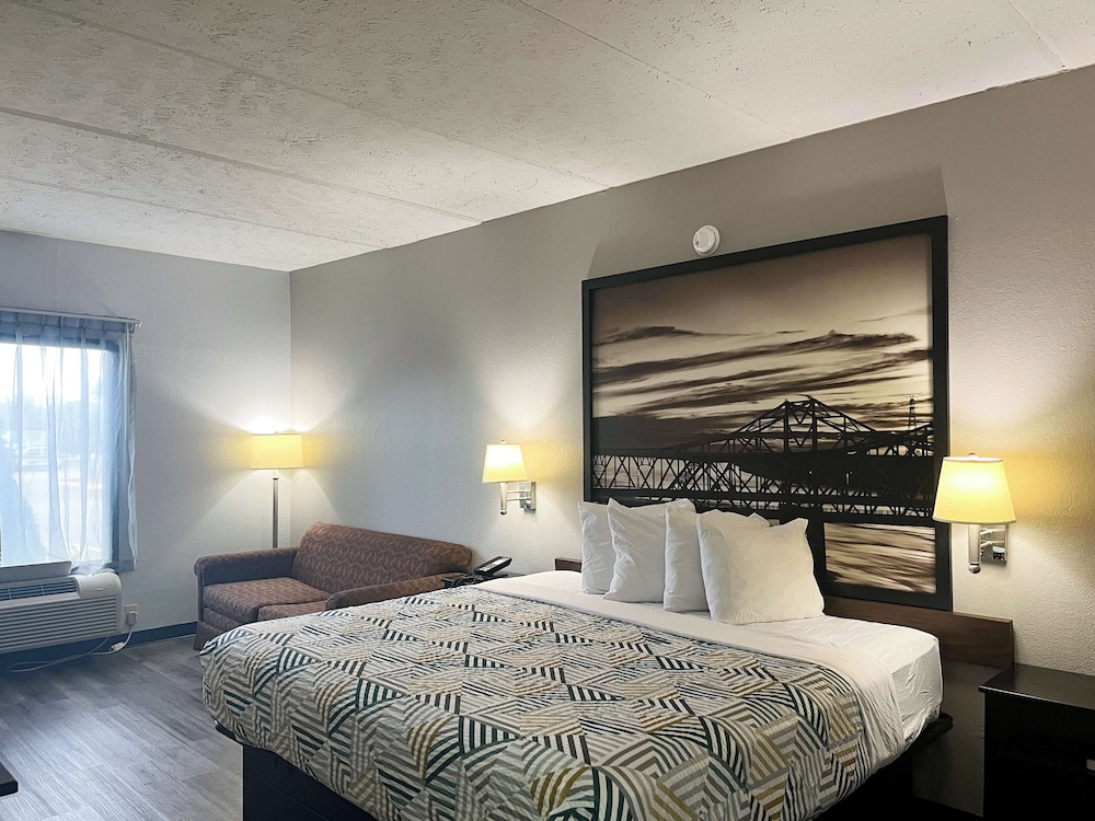 Deluxe Room, 1 King Bed, Smoking, Refrigerator & Microwave - Photo 4