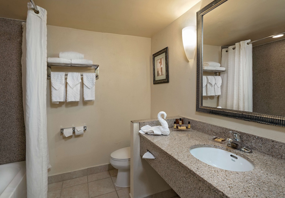 Suite, 1 King Bed, Non Smoking, Jetted Tub - Photo 5