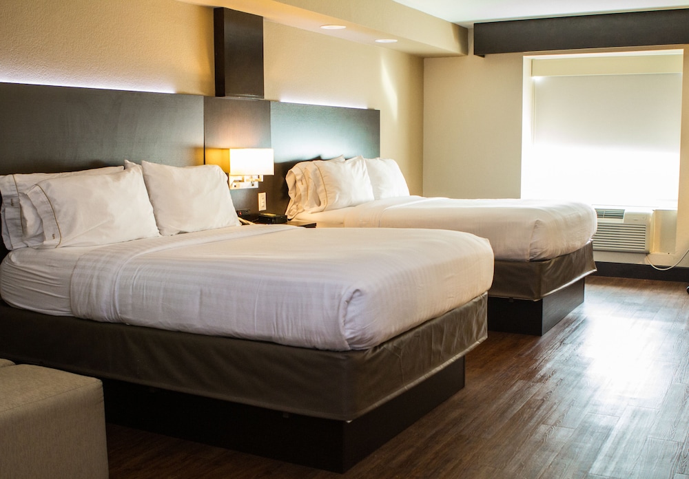 Holiday Inn Express & Suites San Antonio Medical-Six Flags by IHG, Zdjęcie 8