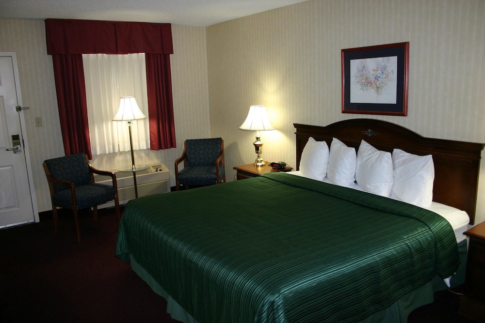 Standard Room, 1 King Bed, Non Smoking photo 3