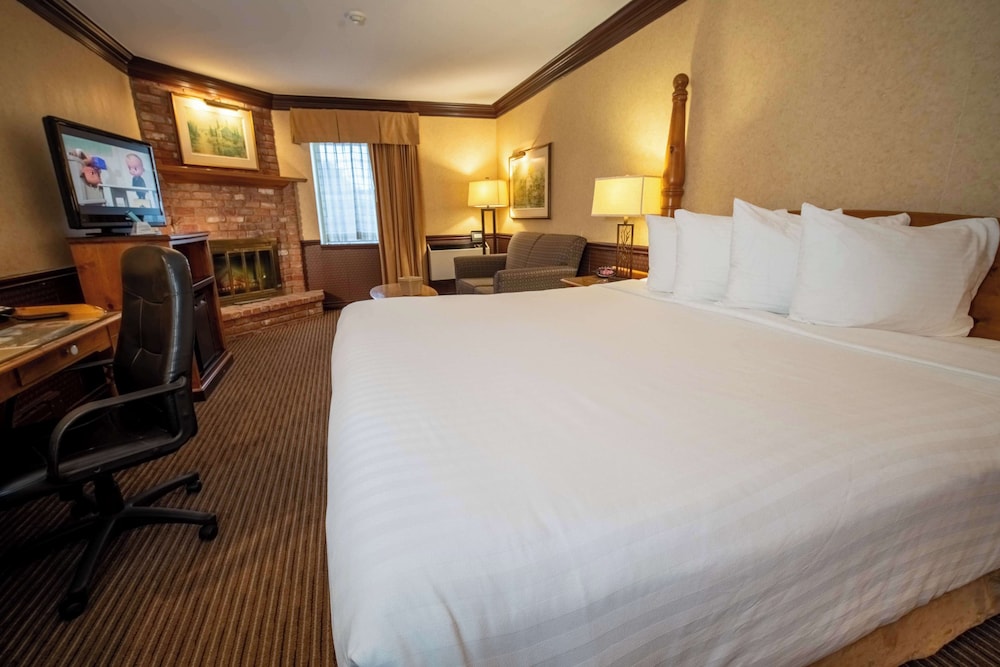 Standard Room, 1 King Bed, Non Smoking, Fireplace - Photo 5