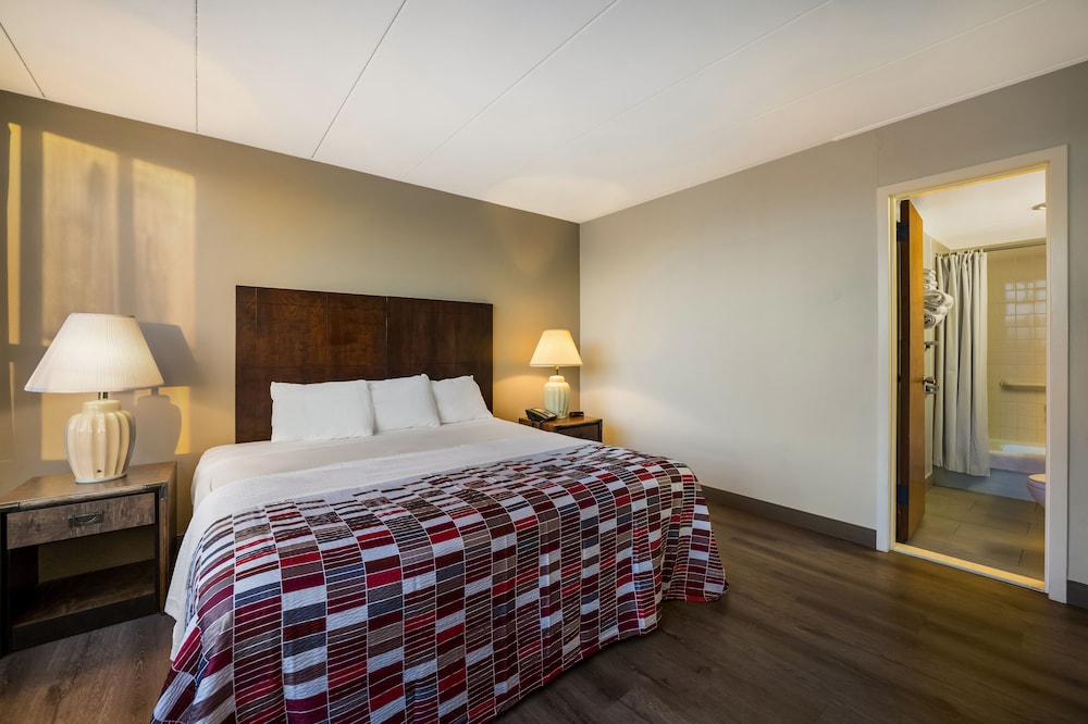 Suite, 1 King Bed