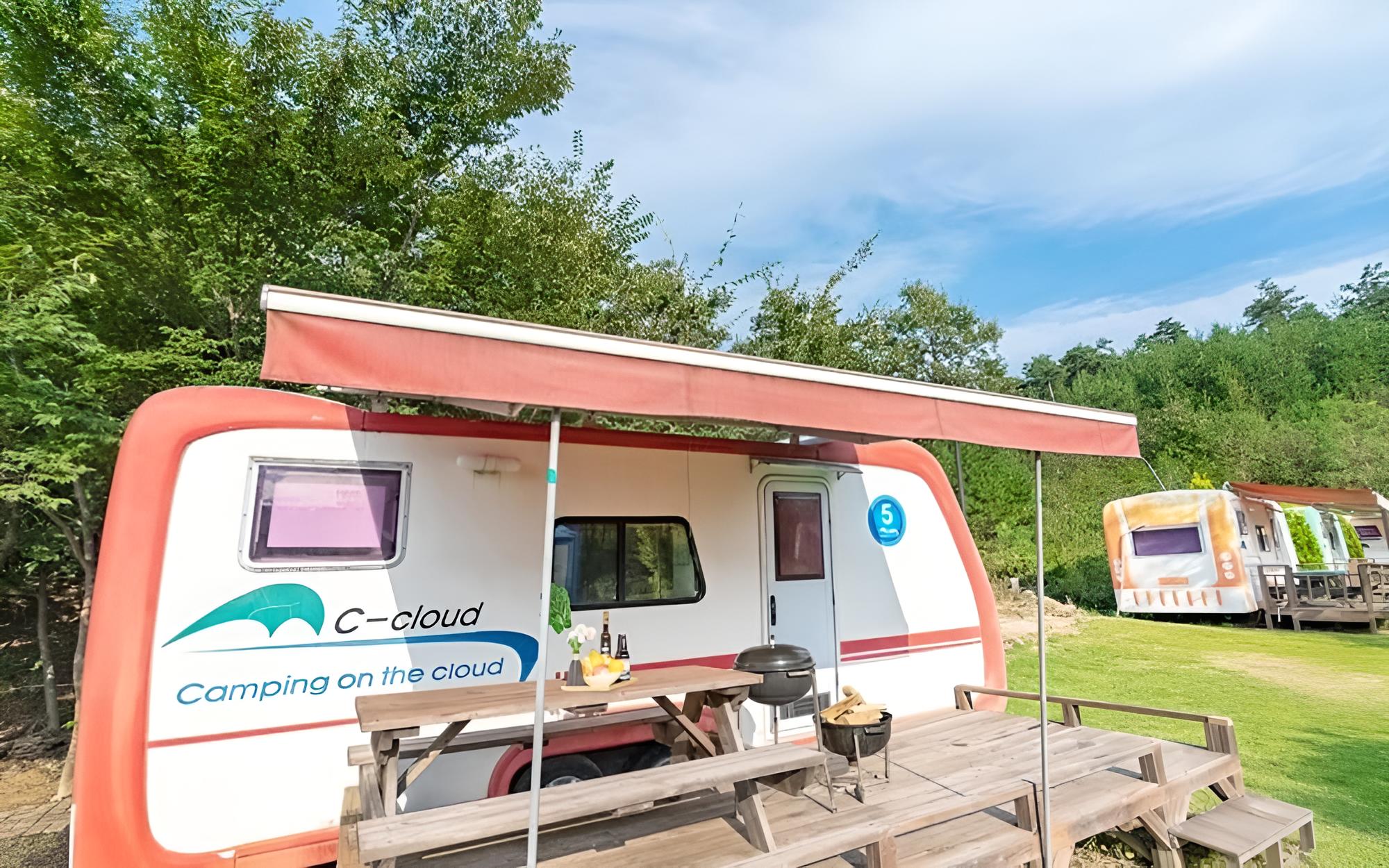 Room (Camping car with dogs (randomly assig)