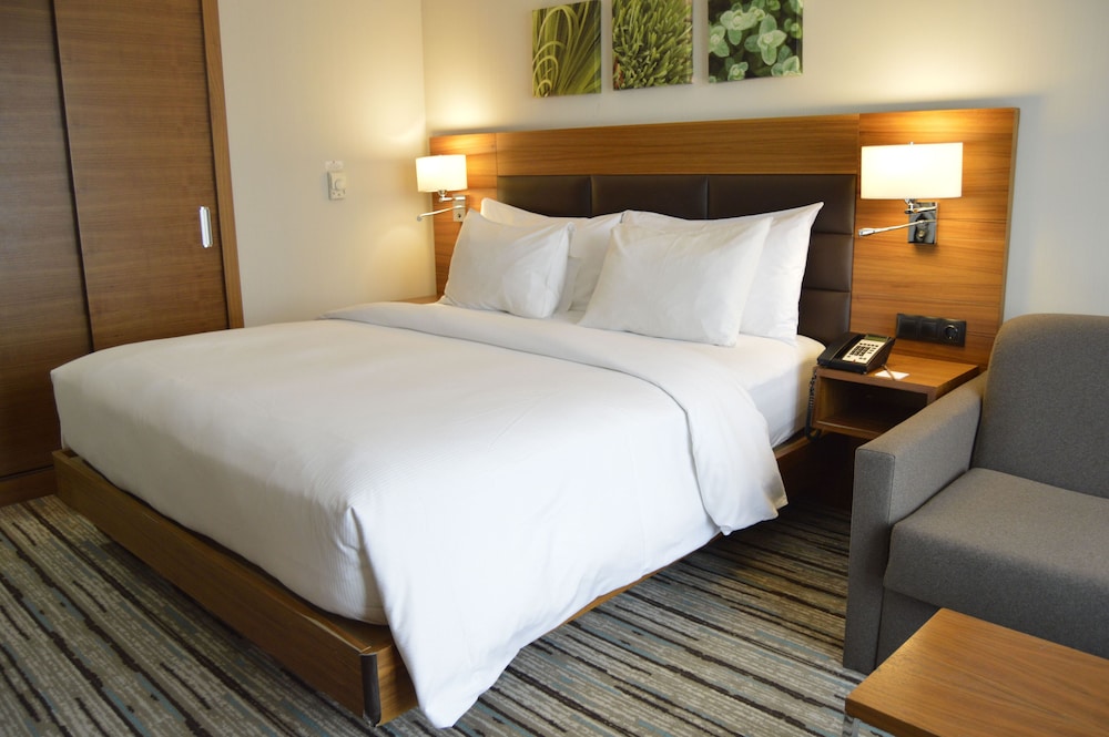 King, Suite, 1 Bedroom