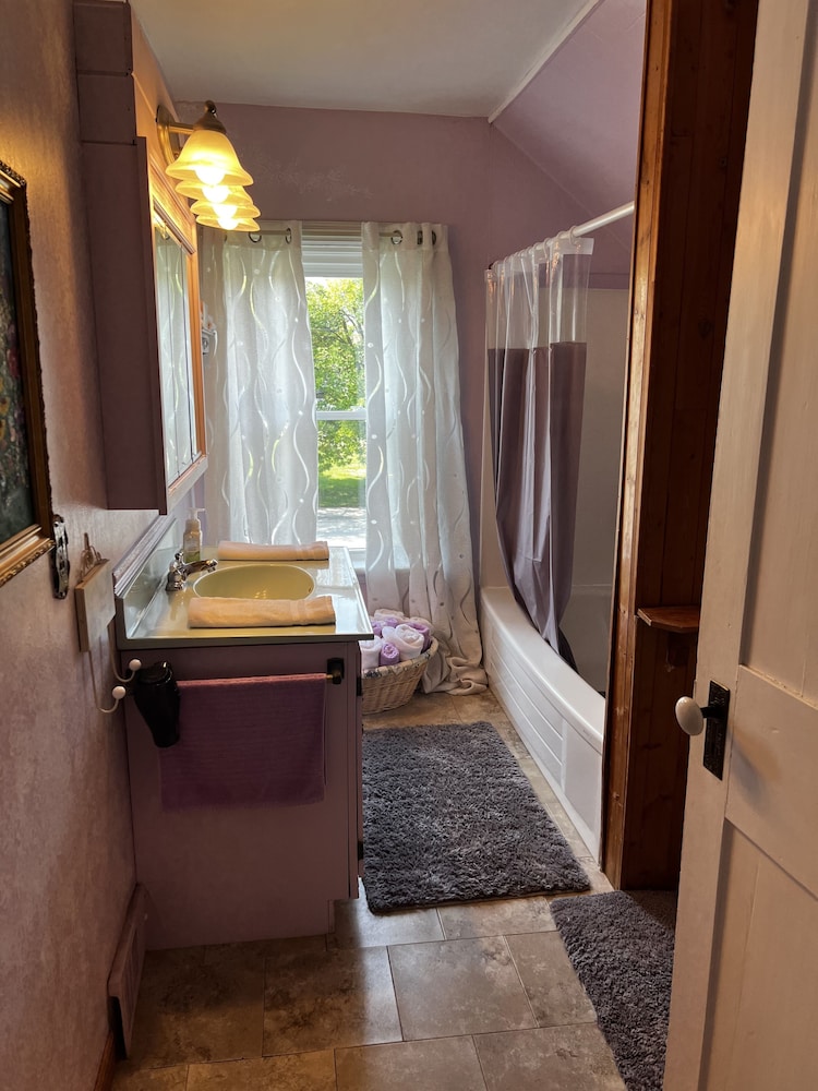 Animal Room (1 Queen Bed) photo 3