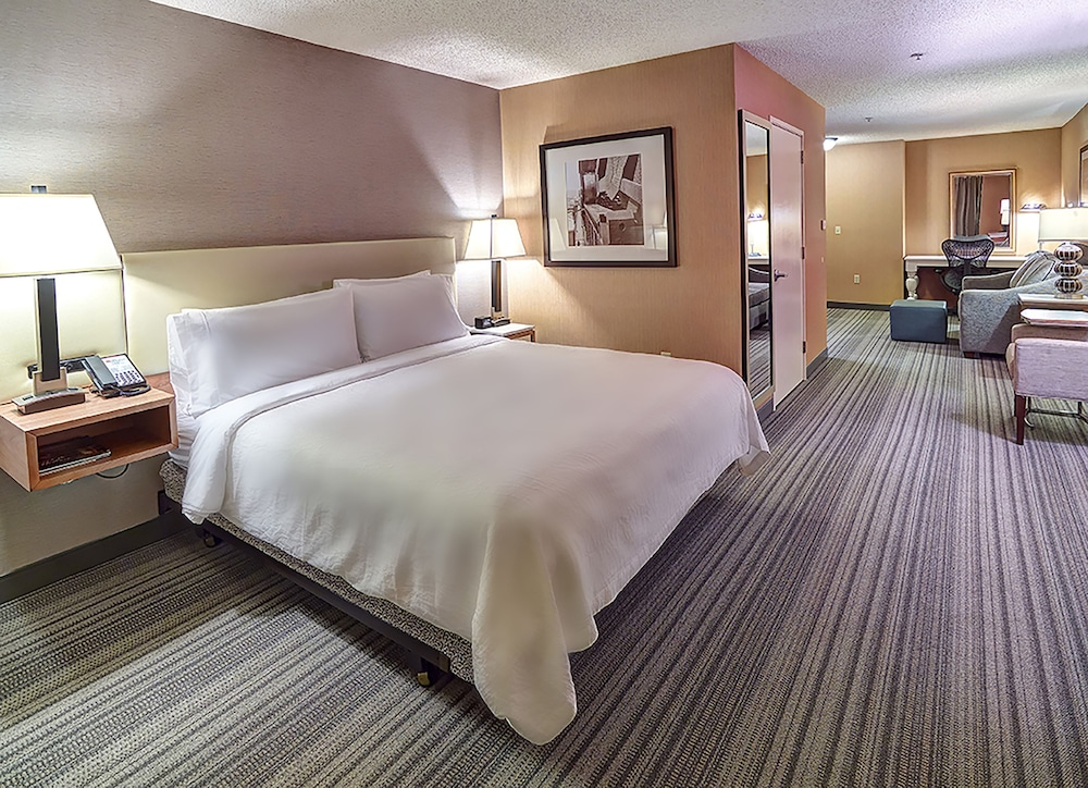 Suite, 1 King Bed - Photo 3