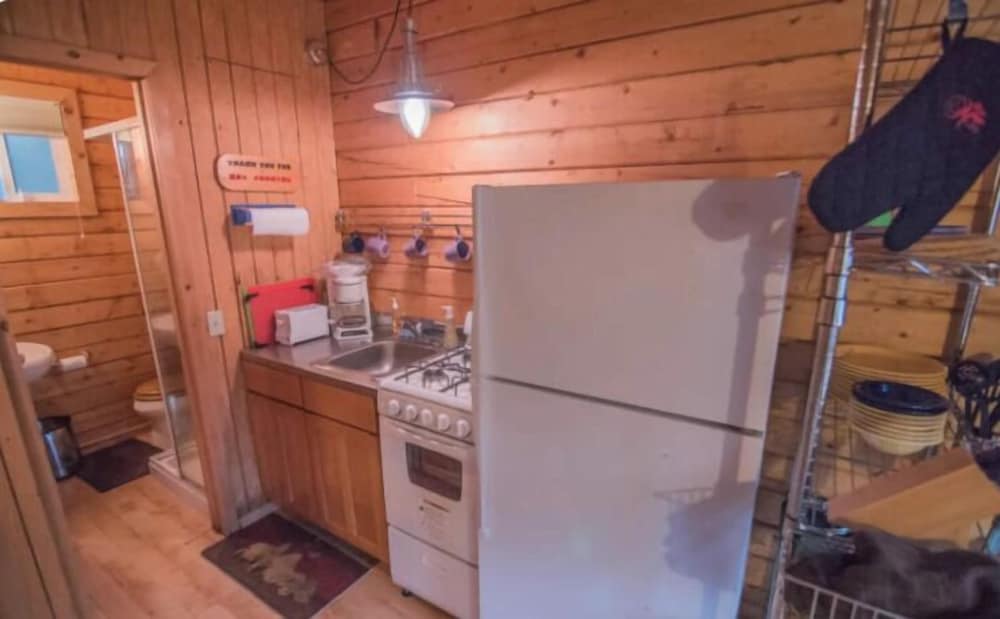 Delightful Cabin #4 on the Kenai River photo 3