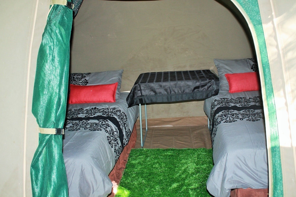 Tent (Lion ) photo 1