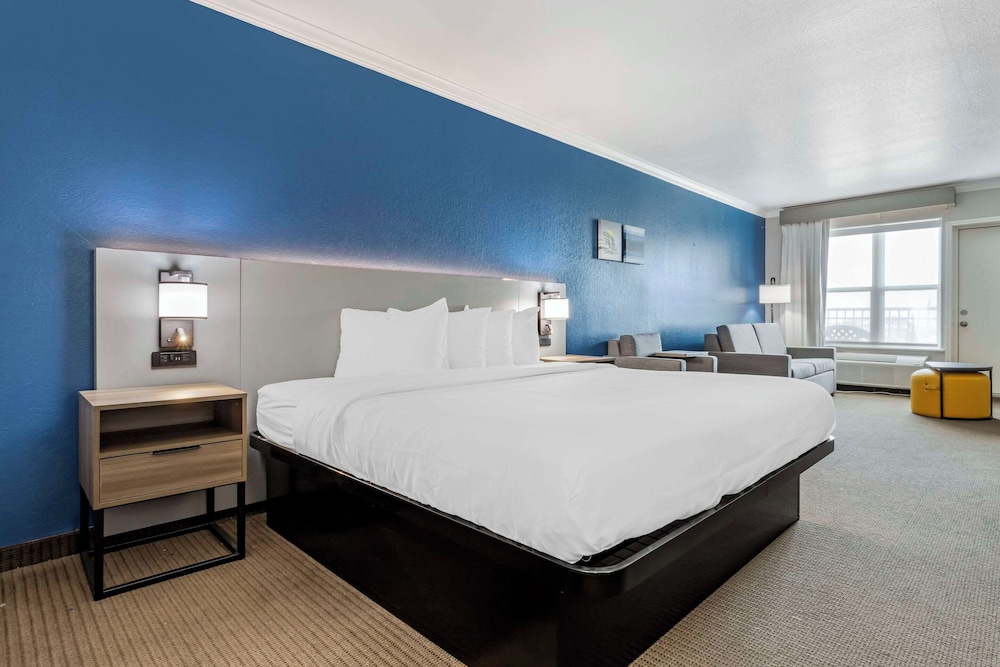 Executive Suite, 1 King Bed, Non Smoking (/W Sofa Bed) photo 1
