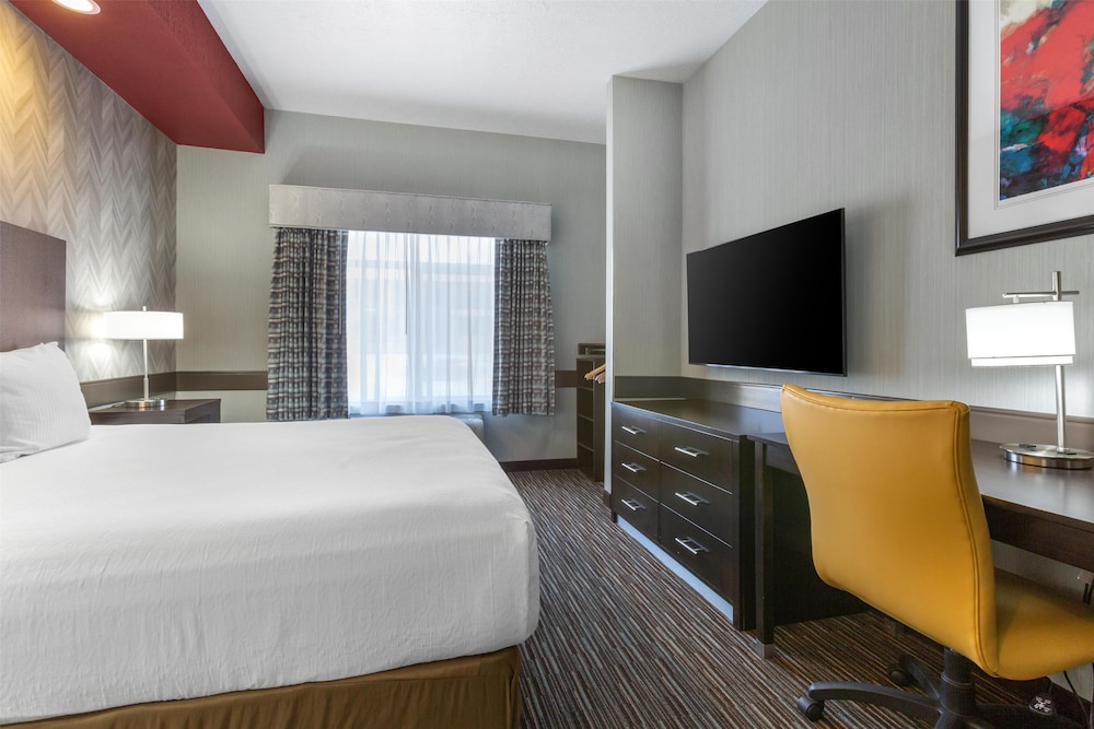 Standard Room, 1 King Bed, Accessible, Non Smoking photo 2