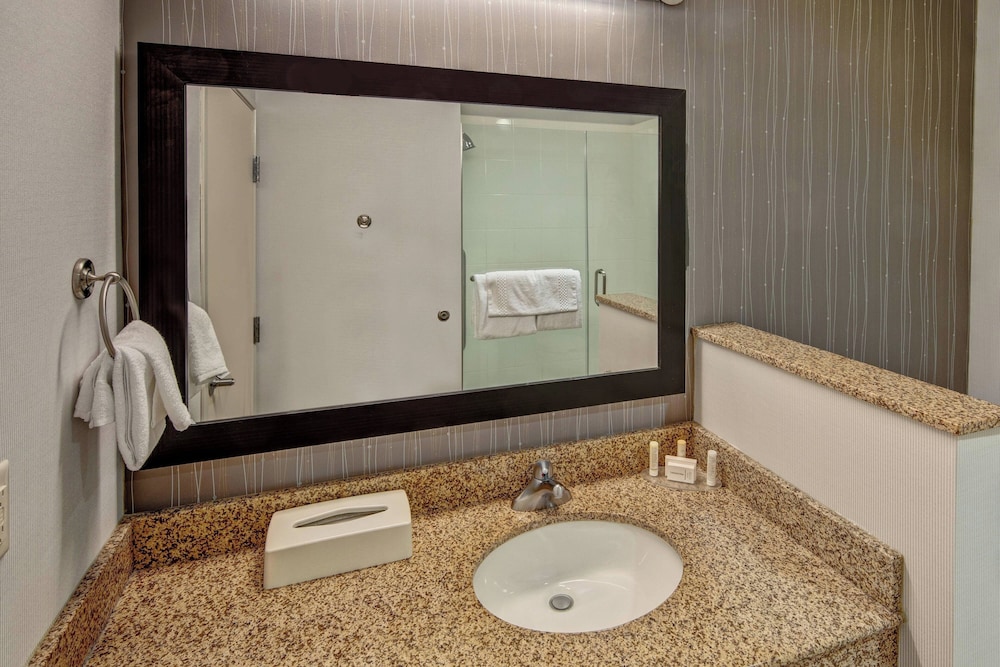 Room, 1 King Bed (Mobility/Hearing Access, Roll-in Shwr) - Photo 5