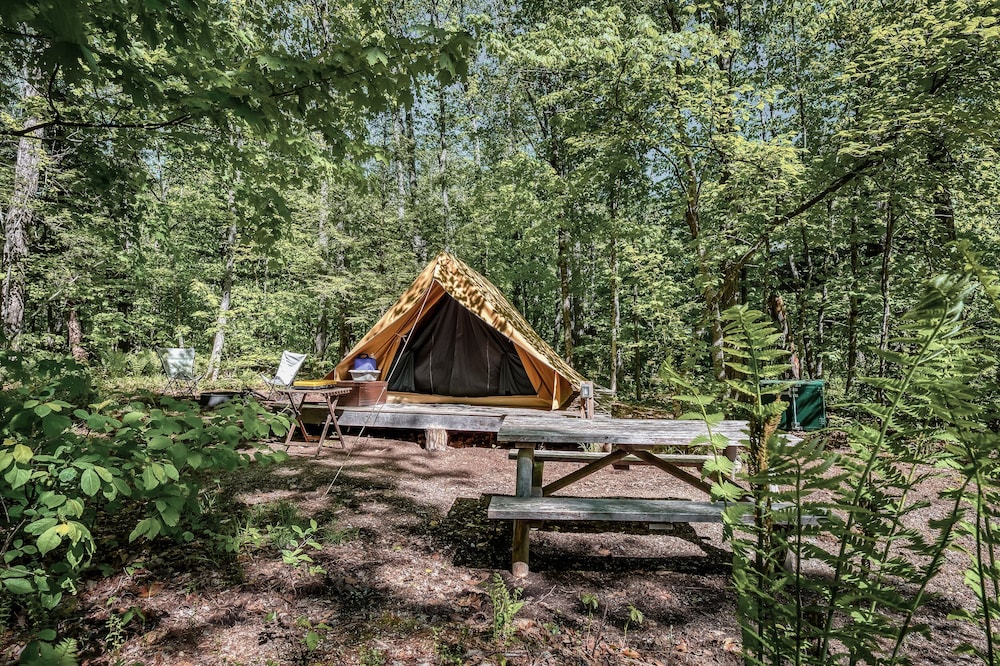 Bonaventure Tent photo 1