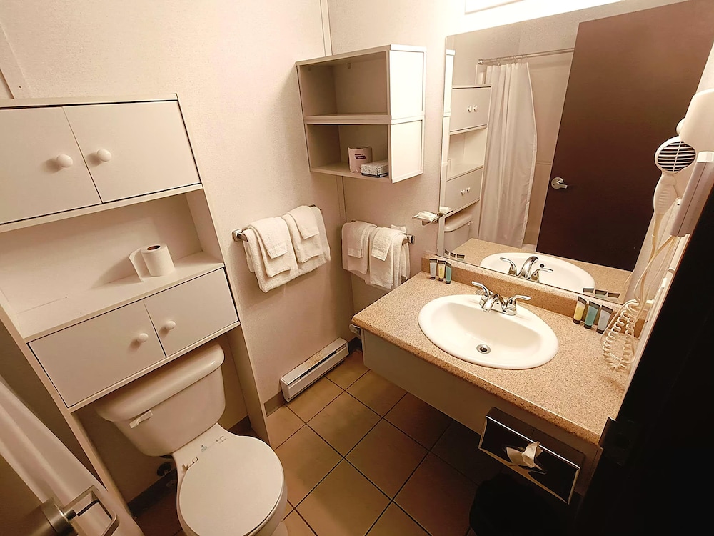 Business Studio Suite photo 2