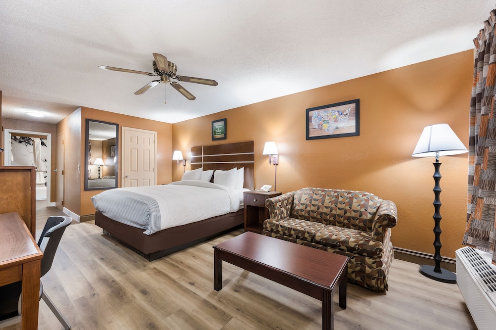 Standard Room, 1 King Bed, Smoking - Photo 7