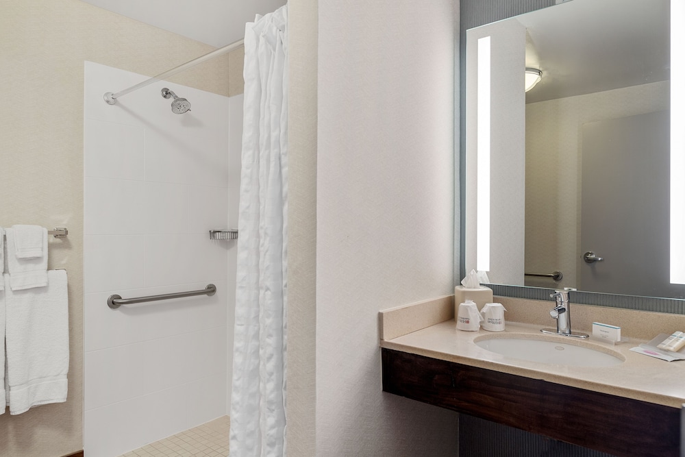 Room, 1 King Bed, Accessible (Roll-In Shower) - Photo 8
