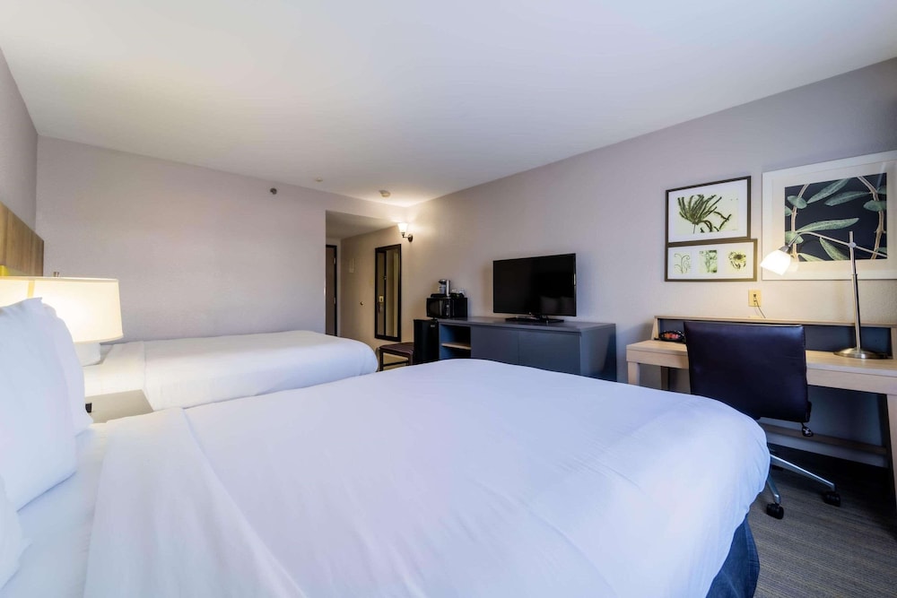 Room, 2 Queen Beds, Non Smoking - Photo 1