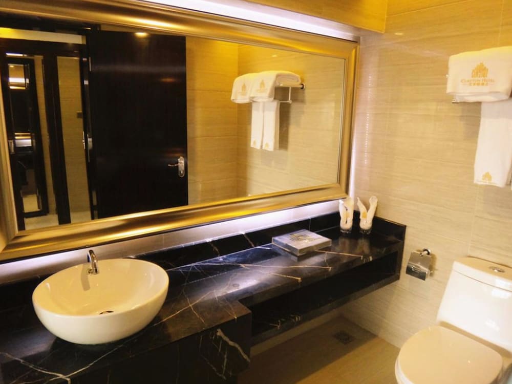 Deluxe Twin Room (European-style) photo 3