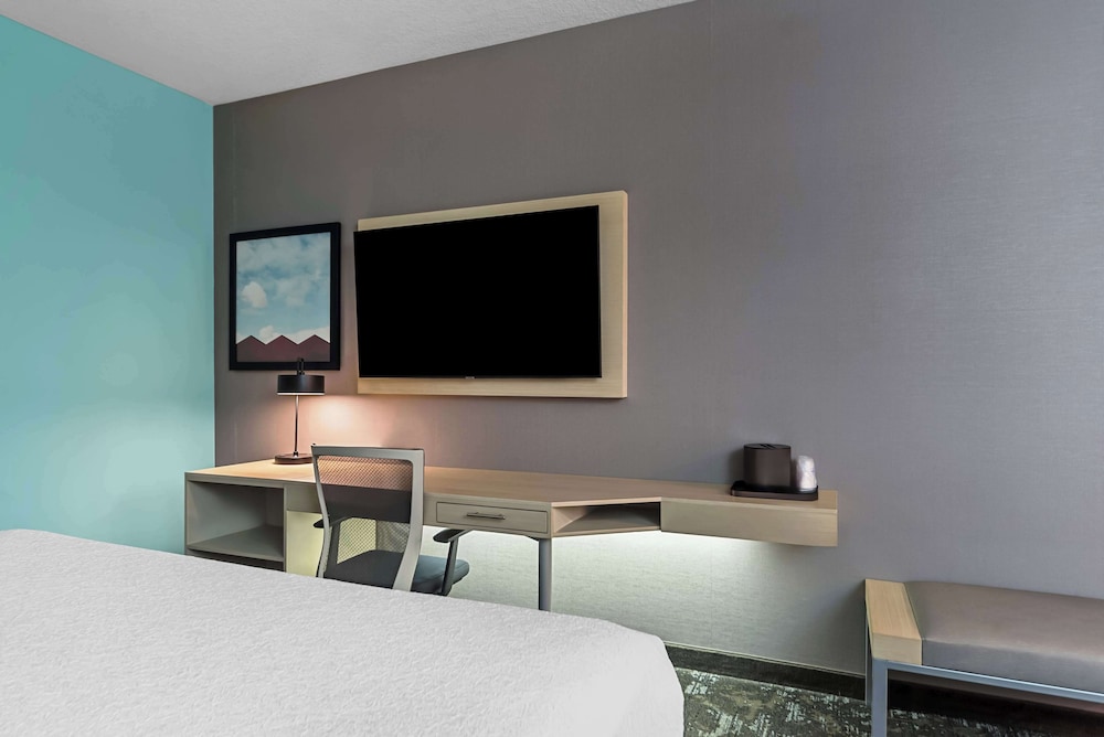 Standard Room, 1 King Bed, Accessible, Refrigerator & Microwave (Walk-in Shower) - Photo 3