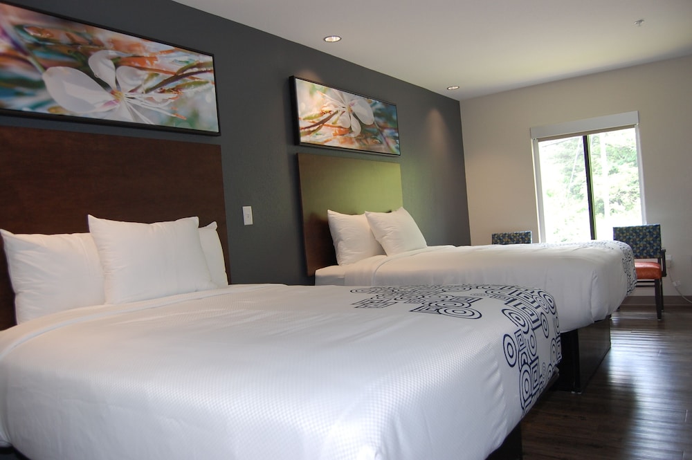 Deluxe Room - Photo 17