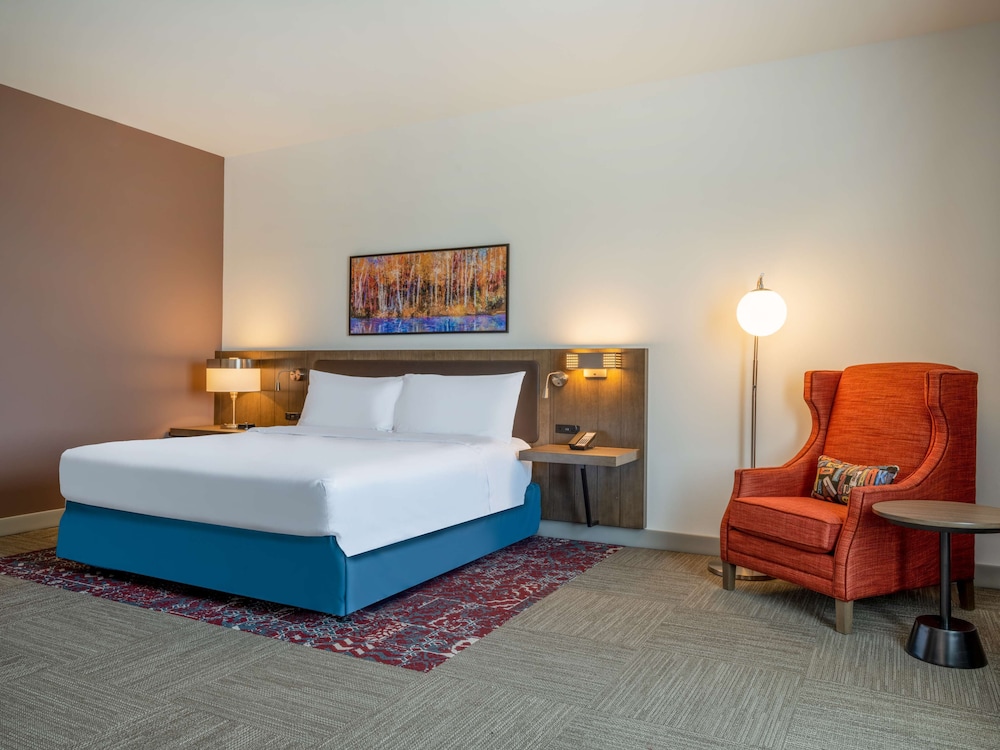 Room, 1 King Bed, Accessible (Roll-In Shower) - Photo 2